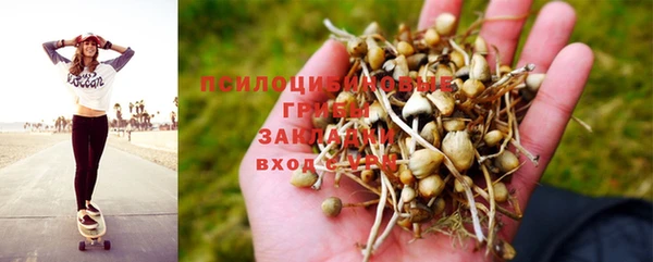 первитин Белоозёрский