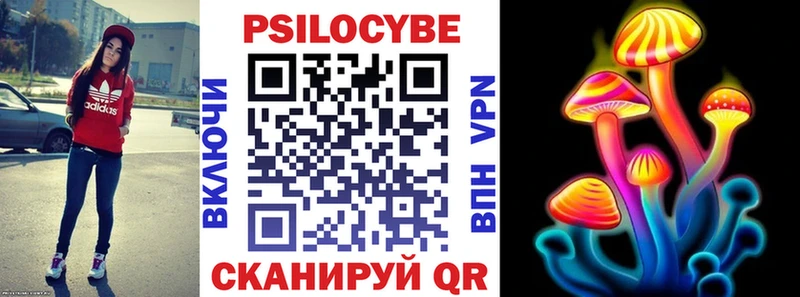 Псилоцибиновые грибы GOLDEN TEACHER  сколько стоит  Томмот 